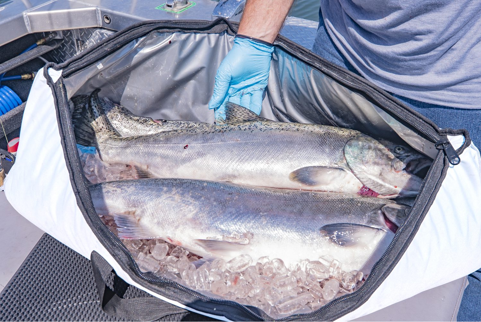 Top 5 Benefits of Using a Fish Kill Bag for Your Catch