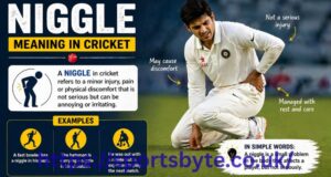 Niggle Meaning in Cricket