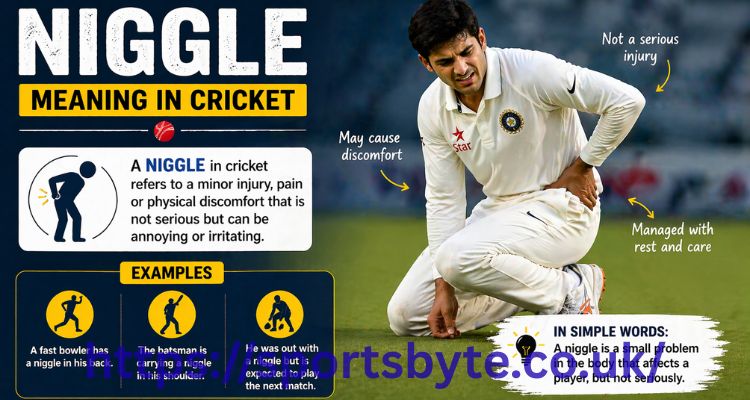 Niggle Meaning in Cricket